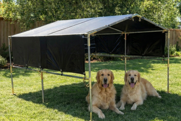 Pet Canopies